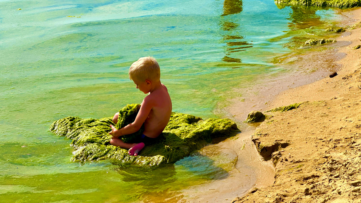 Вот такой пляж бывает в Анапе, правда сегодня там другая беда, но сейчас не об этом