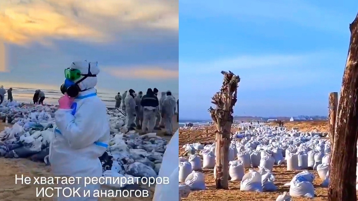 Почти каждый доброволец, помогающий в уборке пляжей после крушения танкеров с мазутом сталкивается с сильнейшей интоксикацией.