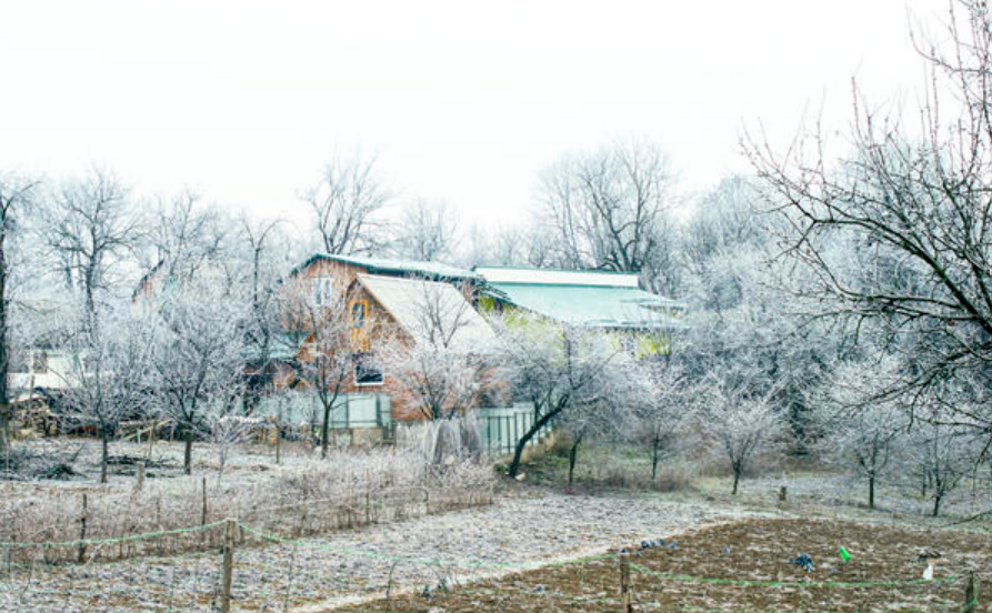Декабрь на даче