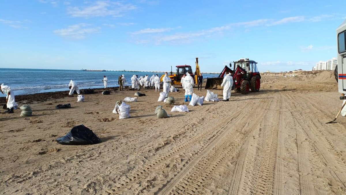 Фото: Пресс-служба администрации Краснодара