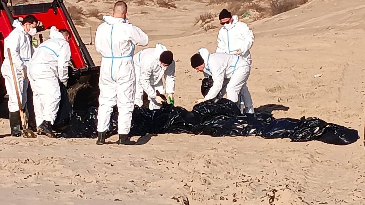 Фото: Пресс-служба администрации Краснодара