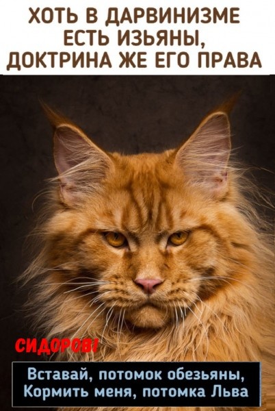 Из сети Интернет.