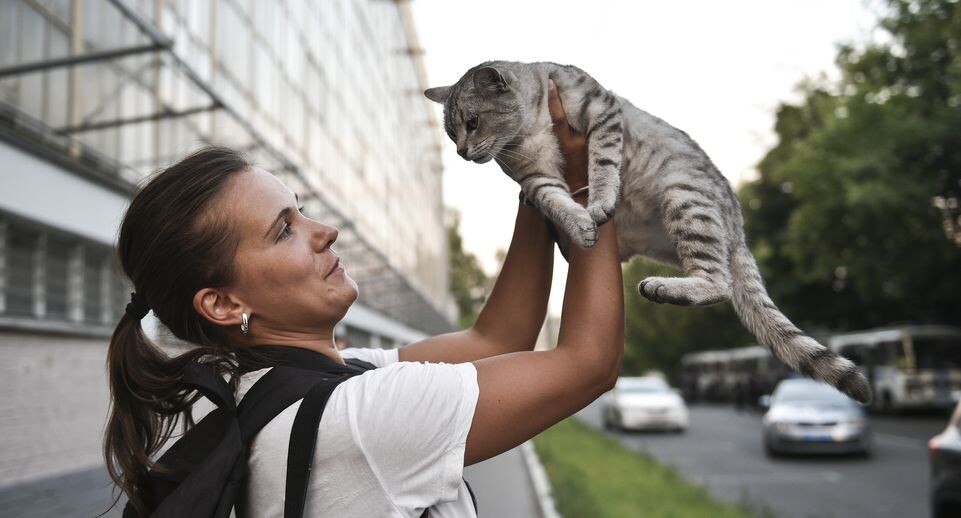    Медиасток.рф