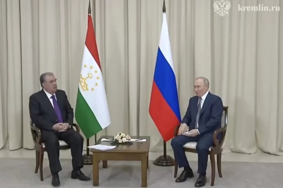    Путин: РФ готова увеличить квоту в вузах для студентов из Таджикистана