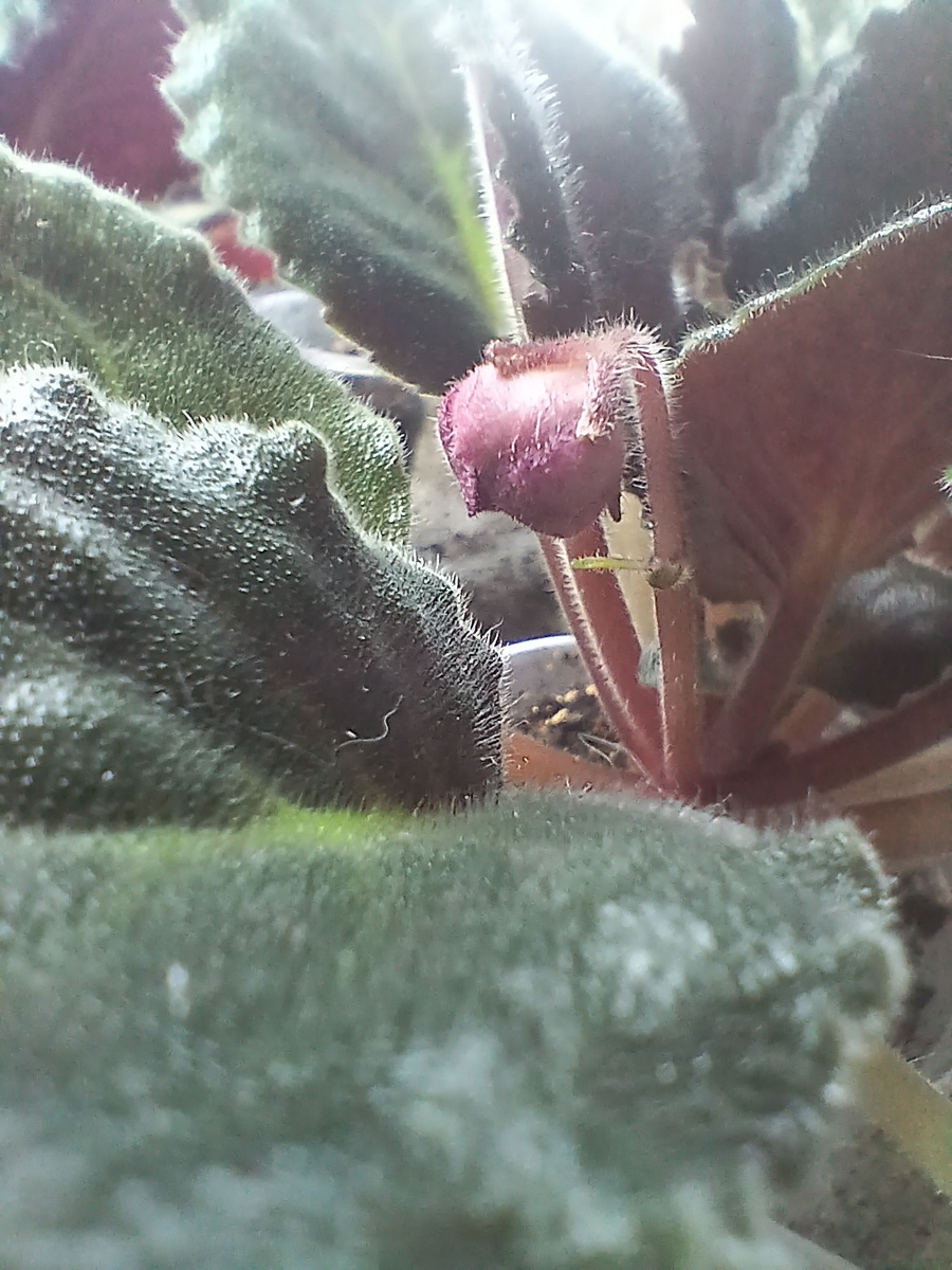 Листайте дальше 👉👉👉