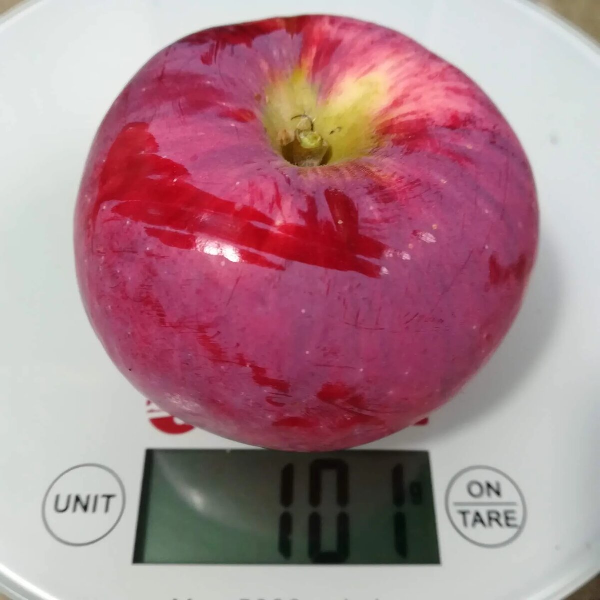 колонно-компакт Кивин (ДС-10-5)