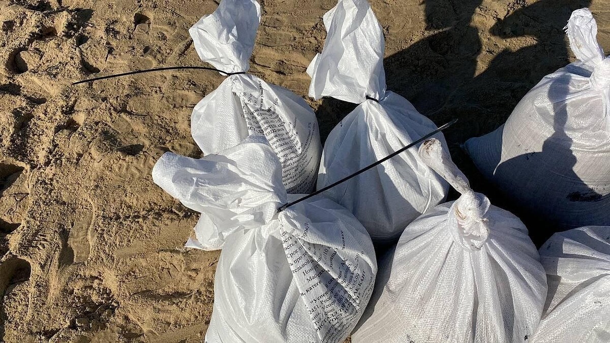    Фото: телеканал «Краснодар»