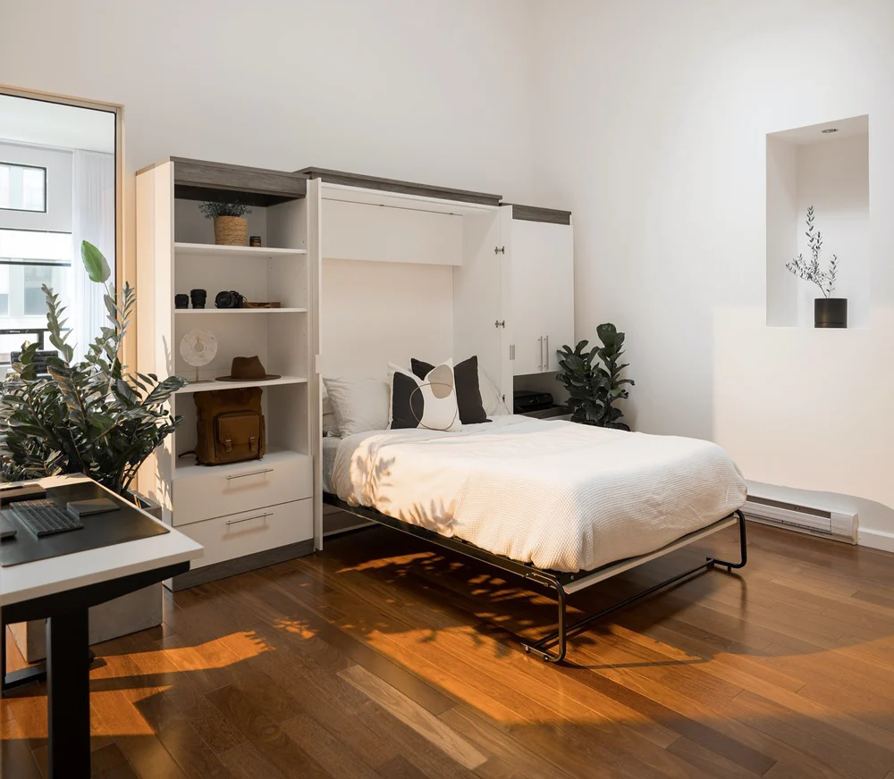 Просторная комната для встречи гостей и кроватью в стене