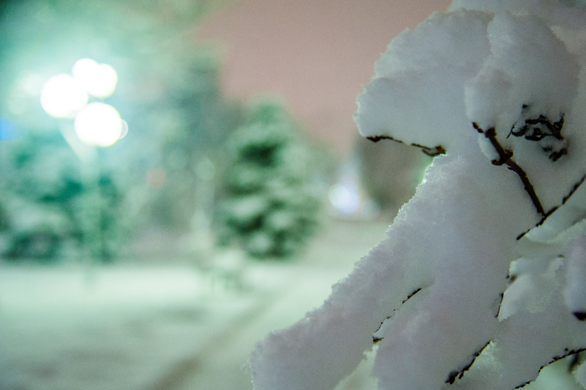 © Фото: ИД «Волгоградская правда» / архив