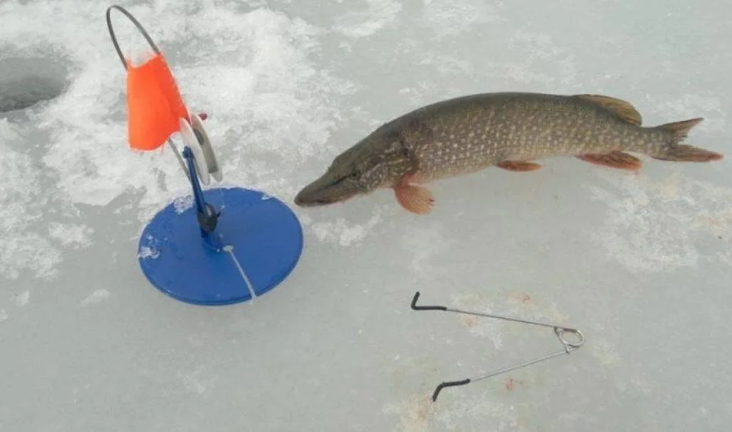 Фото с сайта: https://sun9-9.userapi.com