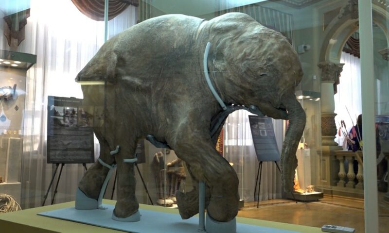    Видео канала «Кубань 24»