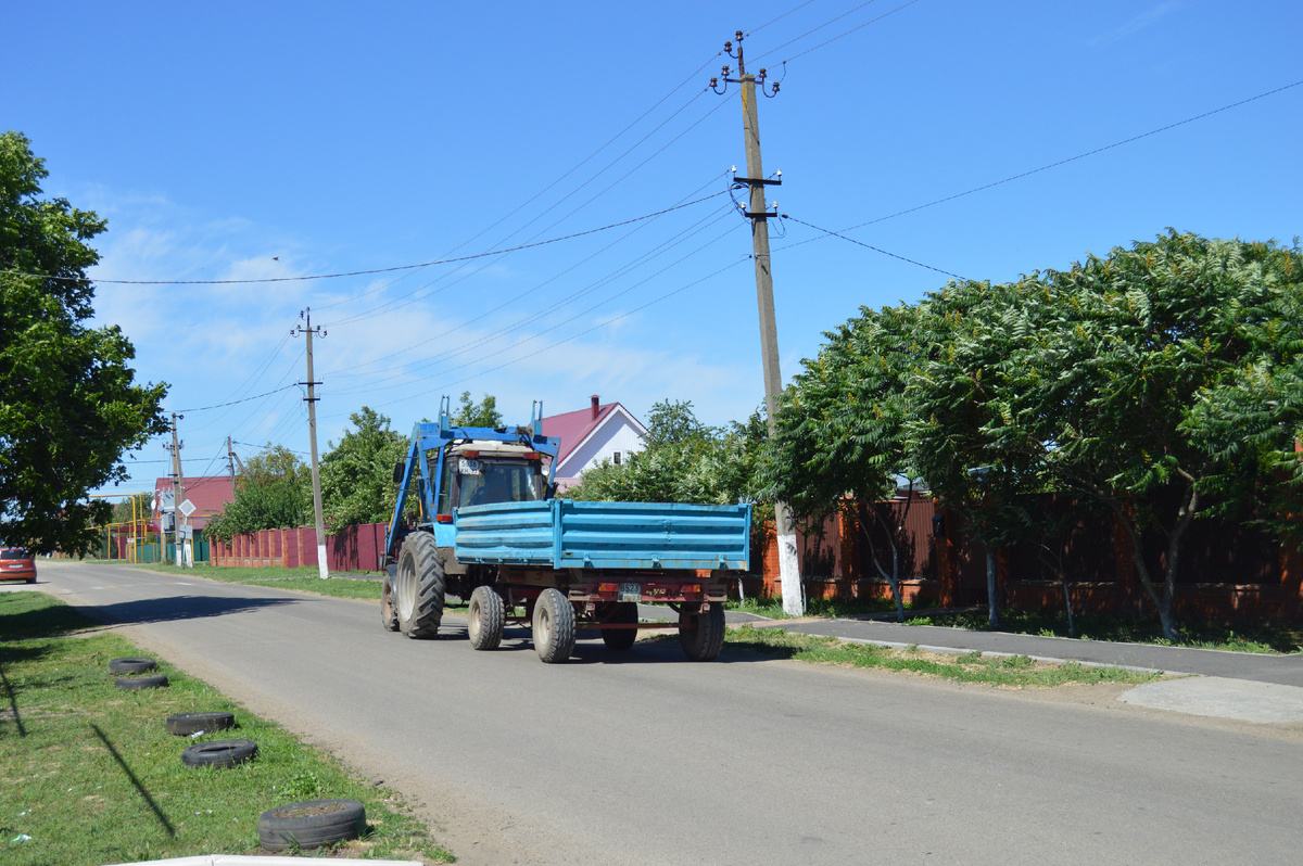 Фото автора. Лето 2024. Станица. 