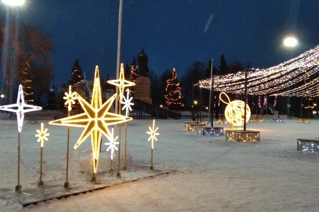    Звёзды бывают не только на небе. Фото:  АиФ/ Светлана Чернышова