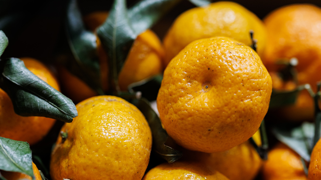    Sergey Elagin/Business Online/Globallookpress