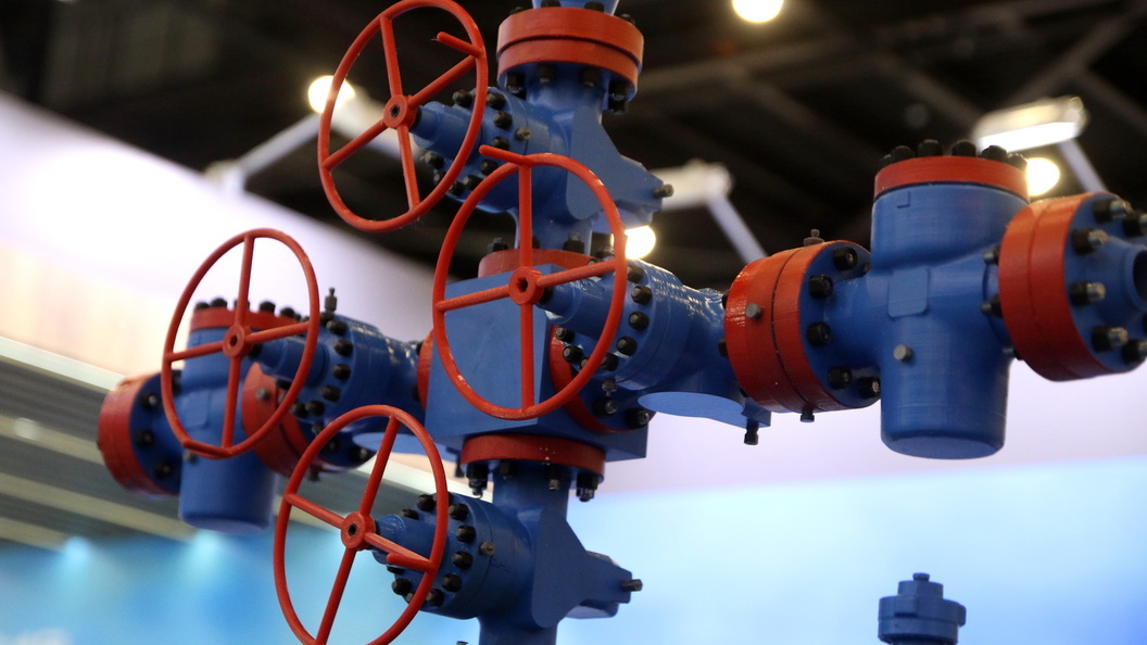    Maksim Konstantinov/Global Look Press/Globallookpress