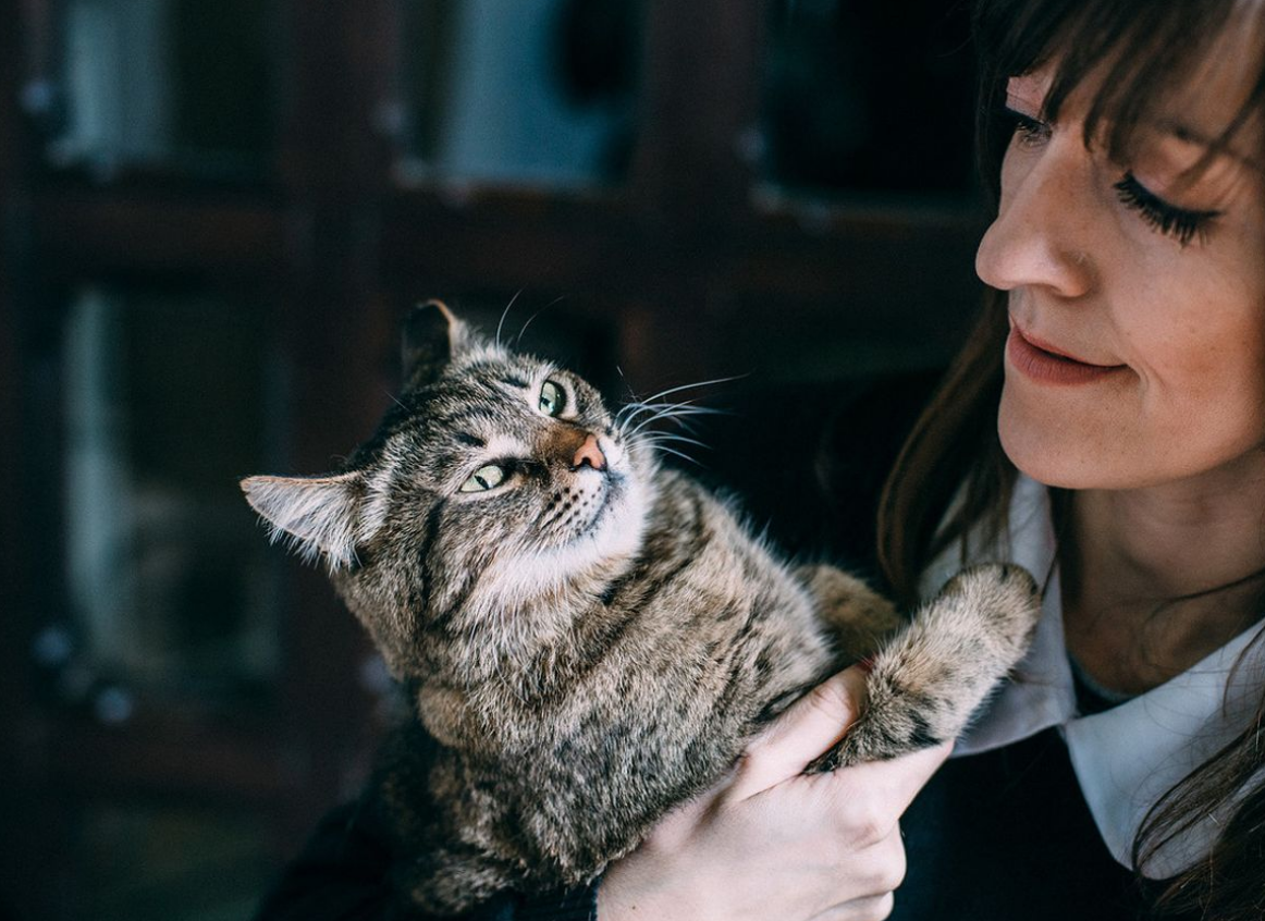 Эти культтурные коты живут только в Астрахани