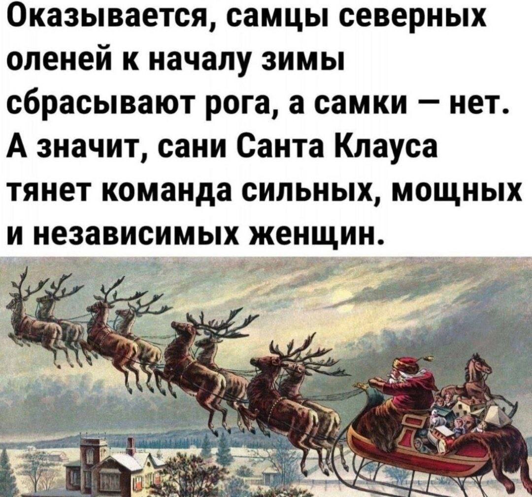 Юмор из интернета с привкусом феминизма