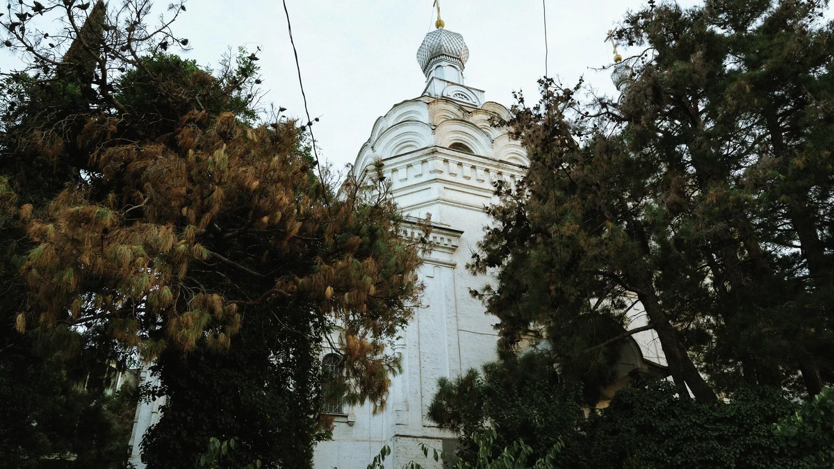 © photo: Sputnik / Stringer