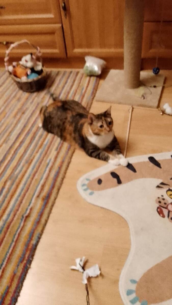 Присылала мне фото для отчета