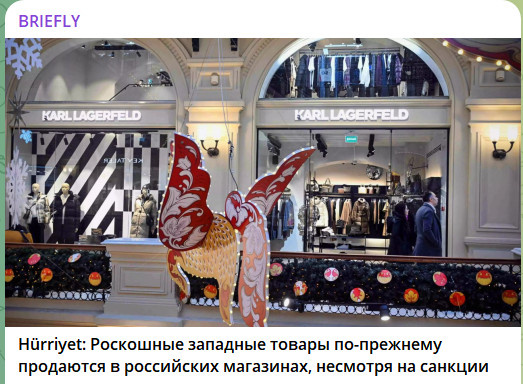    ФОТО: СКРИНШОТ ТГ-КАНАЛА T.ME/BRIEFLYRU