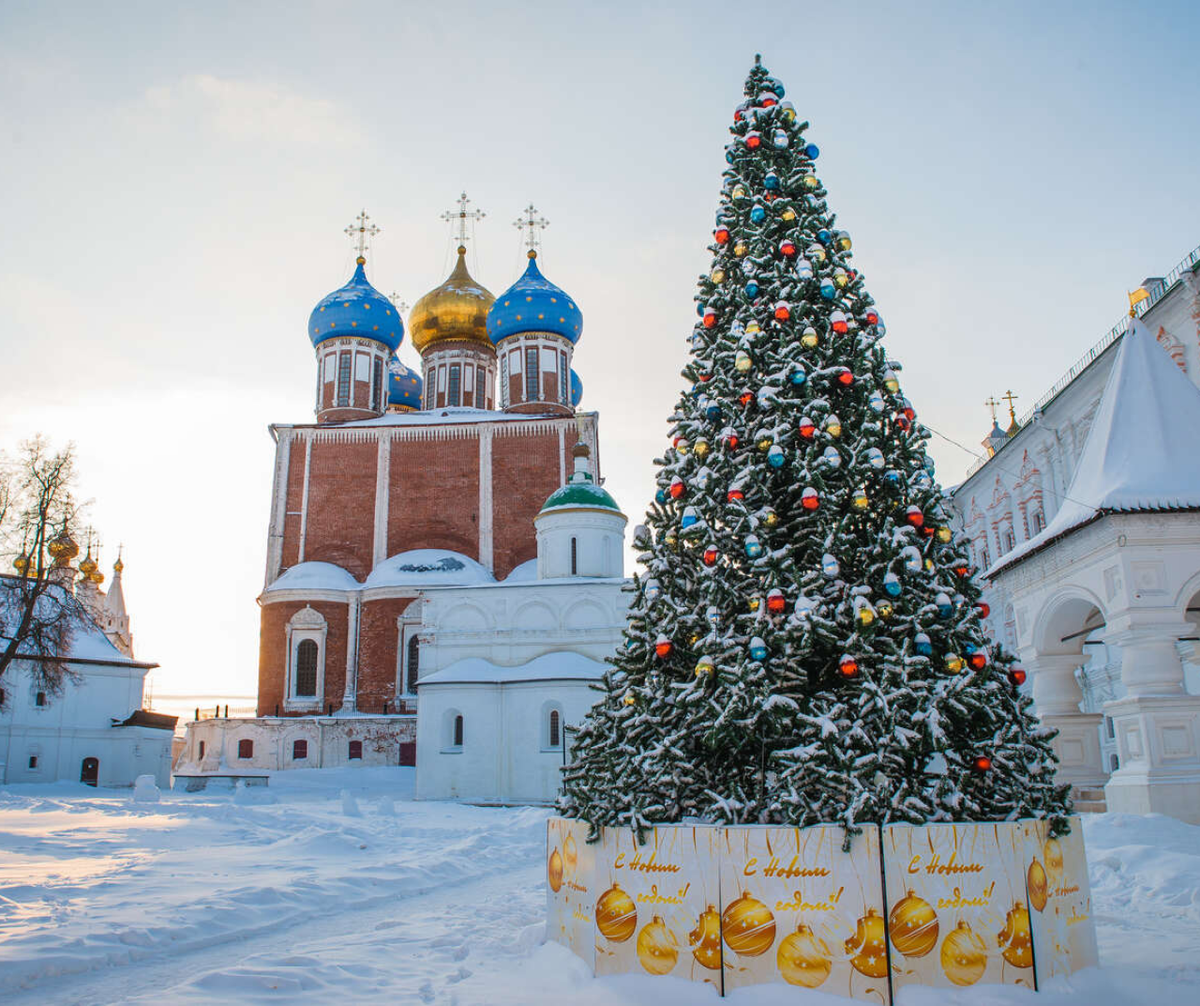 Фото: Наталья Даниловцева