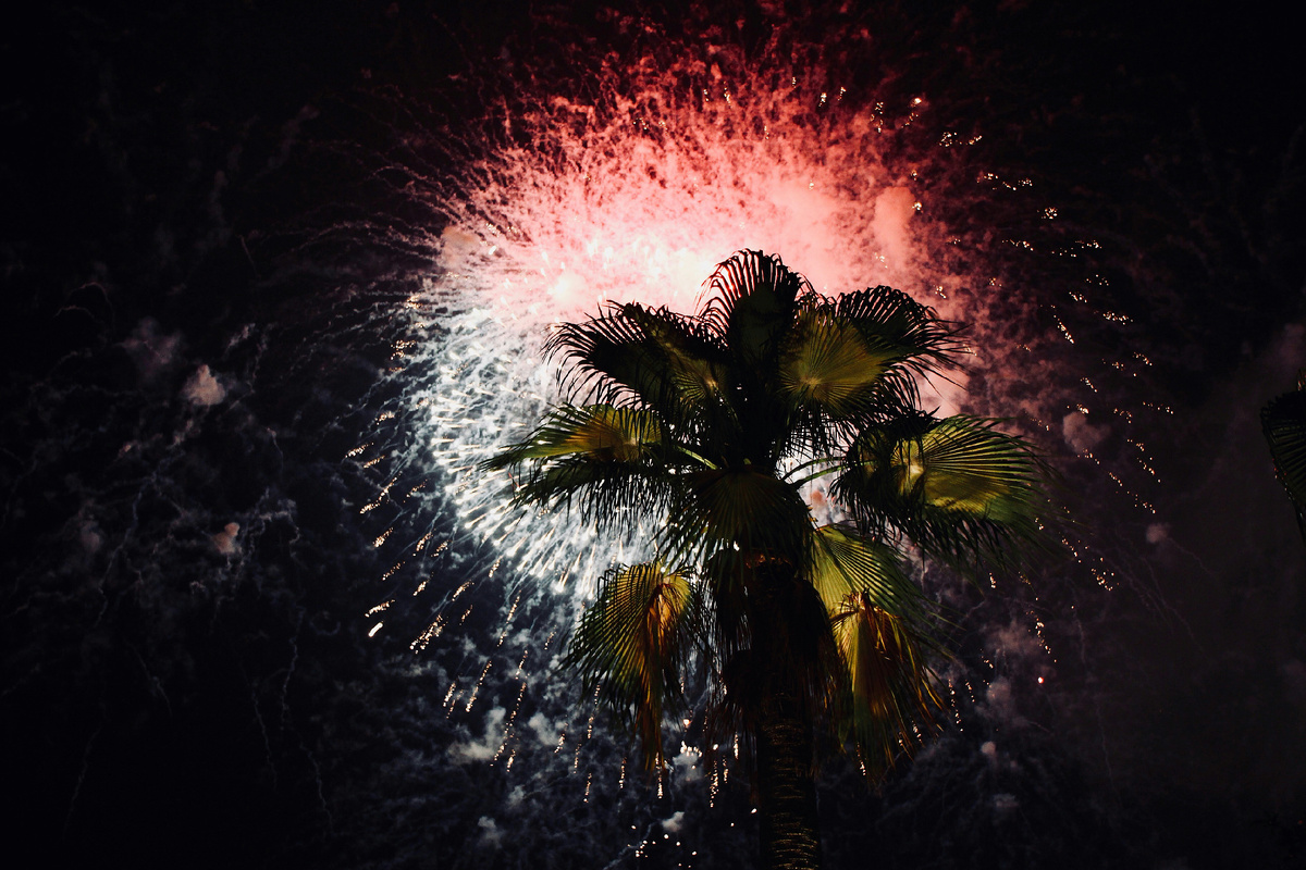 Источник - https://unsplash.com/photos/green-palm-tree-MnvXHMBISIY