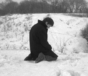 картинка взята из интернета