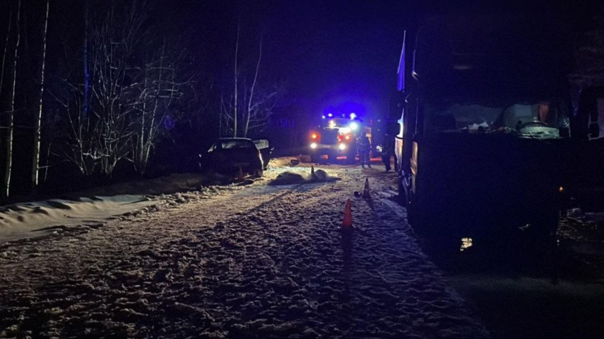    Фото: Telegram/Петербургская полиция/t.me/spb_police78; 5-tv.ru