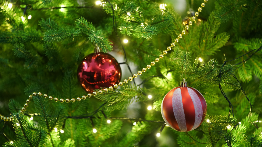    Фото: ИЗВЕСТИЯ/Сергей Лантюхов