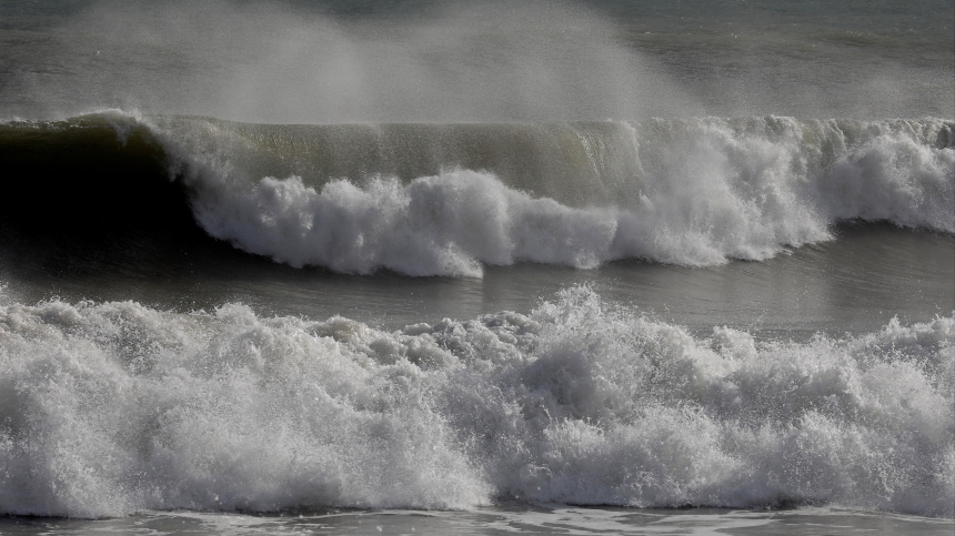    Фото: Juan Carlos Cárdenas/ТАСС; 5-tv.ru