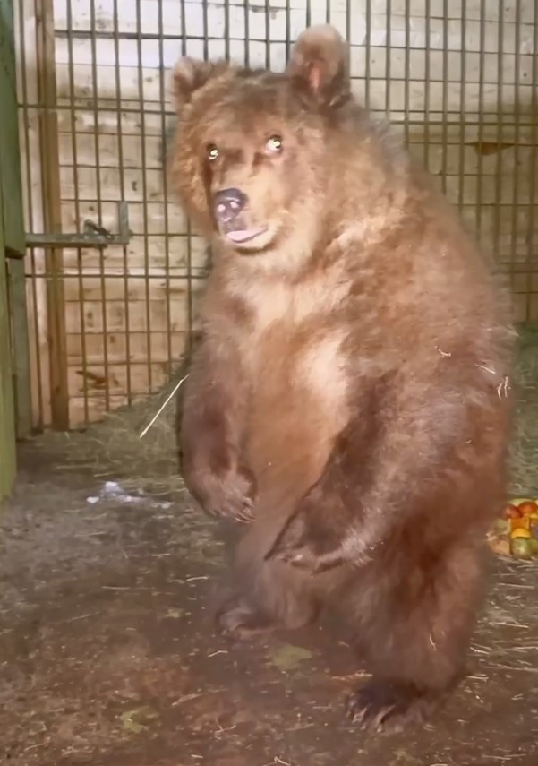 Фото: скриншот с видео из телеграм-канала центра «Земля Прайда»