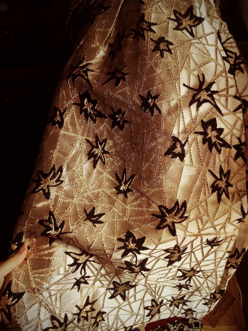 Ориби Каммпирр - Спойлер костюма Вселенной (Одна жизнь Сарро ла Касса. том 5 Прекрасная Весна) © Copyright: Ориби Каммпирр