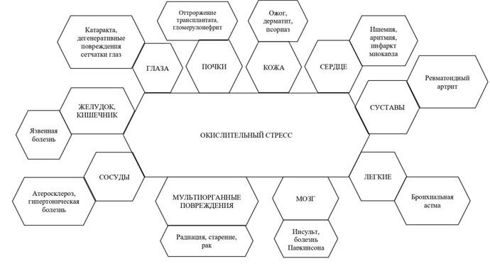 Болезни, вызываемые окислительным стрессом