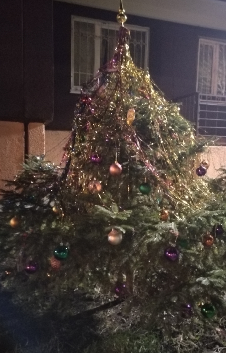 ЁЛКУ НАРЯДИЛИ! Во дворе дома, из личных фото автора