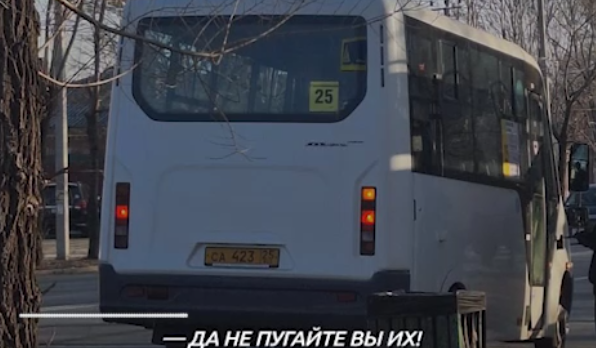    Источник фото: Скрин видео