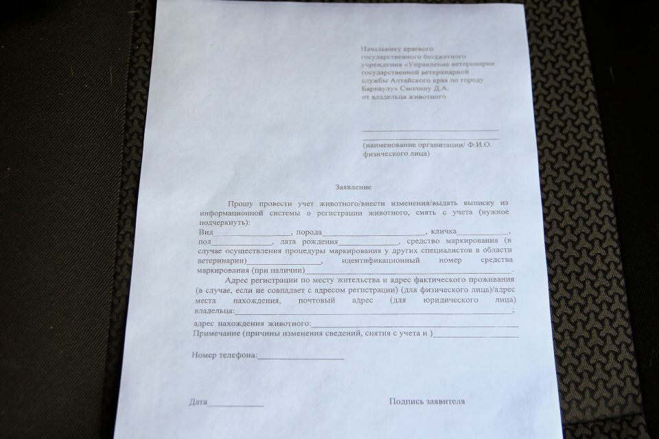    Выездная регистрация собак в поселке Центральном. Источник: Виталий Барабаш