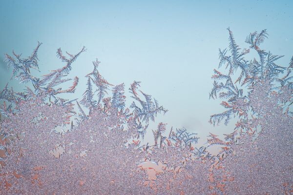    Фото: freepik.com/search Алина Лакшина