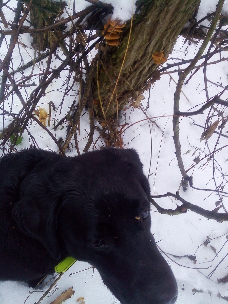 Фото автора.