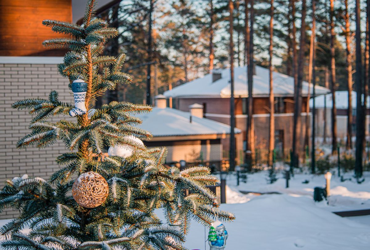 Посёлок «Патроны Парк» 
