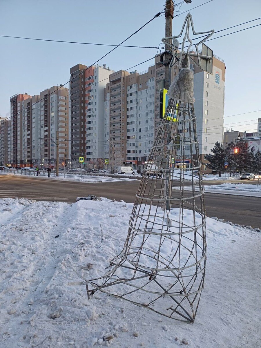    Сбитая елка в Барнауле. Источник: Предоставлено "Толку"
