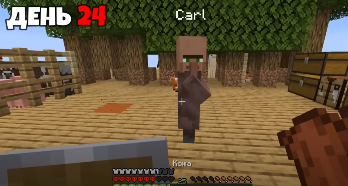 кадр из моего видео про хардкорное выживание в майнкрафте. Ютуб: Макрипс