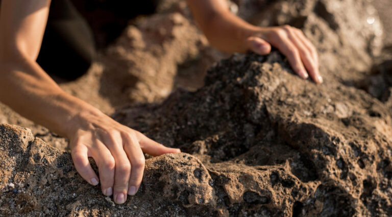    Фото: freepik.com/freepik Илья Федоров