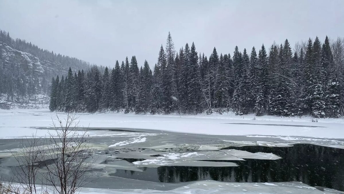     Источник: 1MI