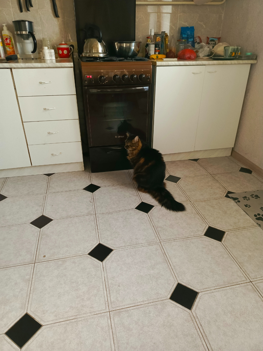 Как по стеклу котики шкрябают лапками, так и я духовку.