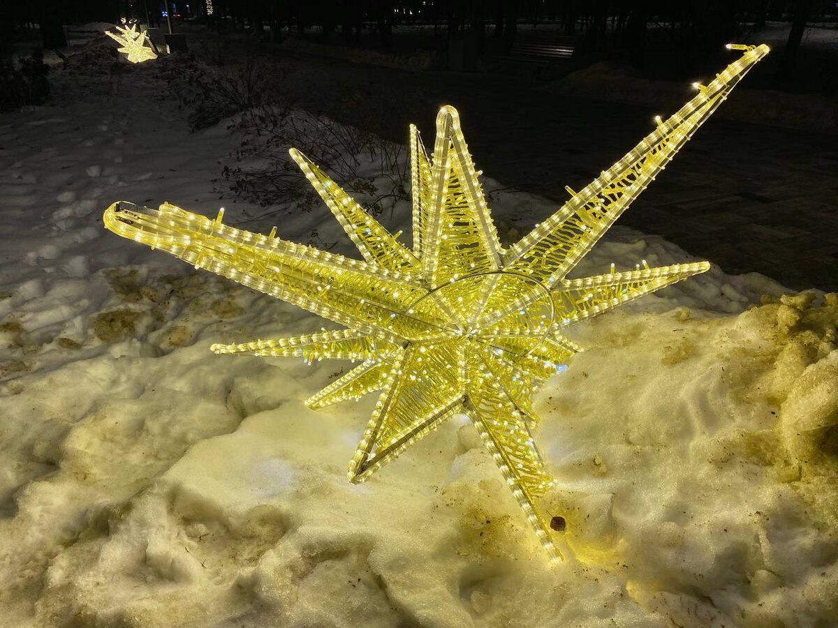 ЦПКО им. Толстого 2024 г.