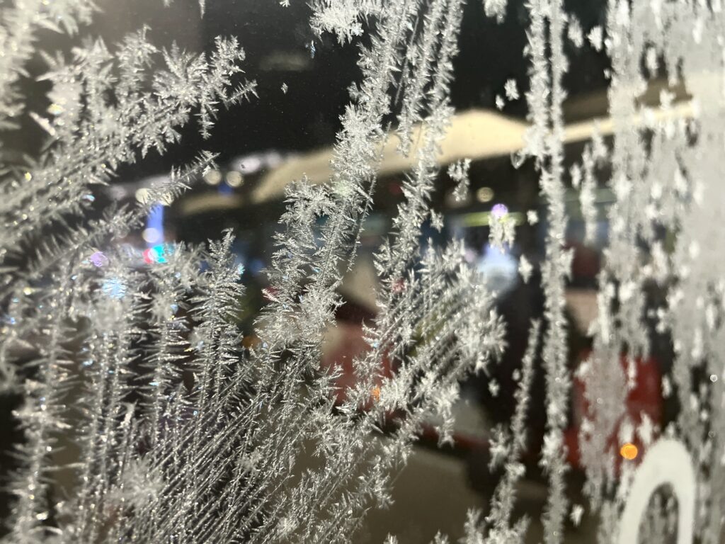    Фото: В курсе.ру Алена Калашникова