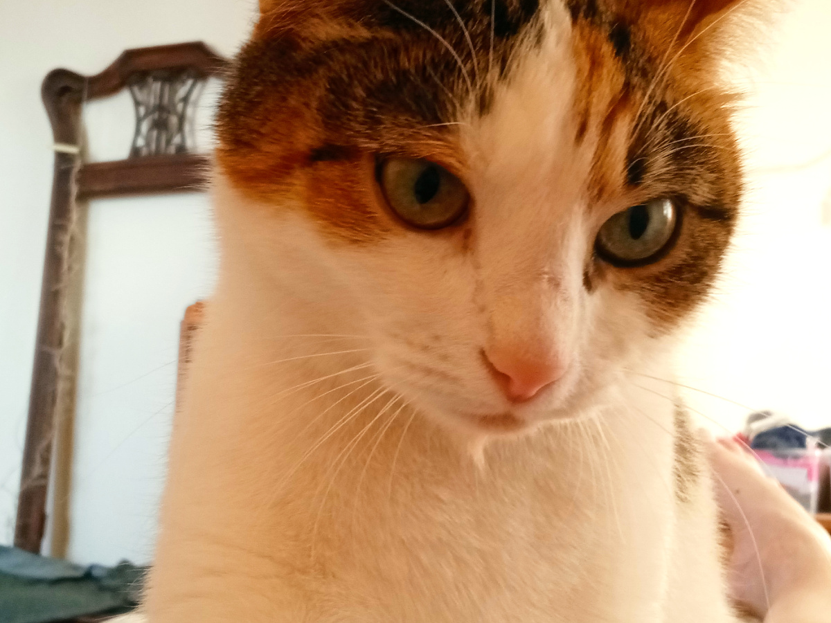 "Доброе утро, человек."