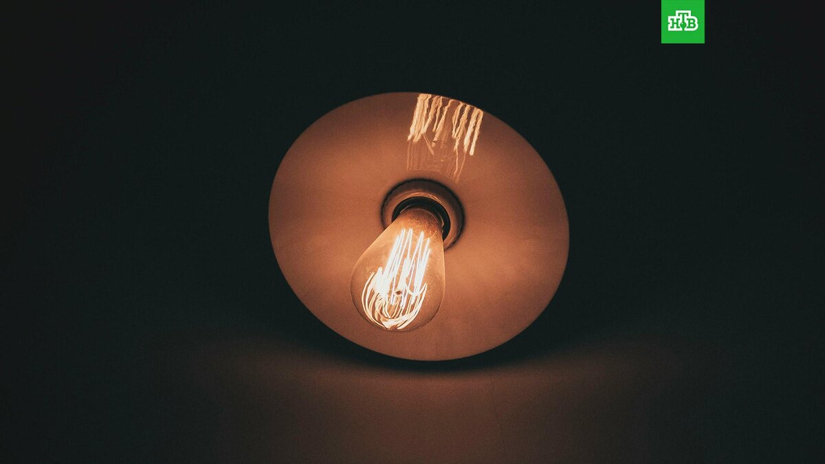    Фото: Raul Petri / unsplash.com