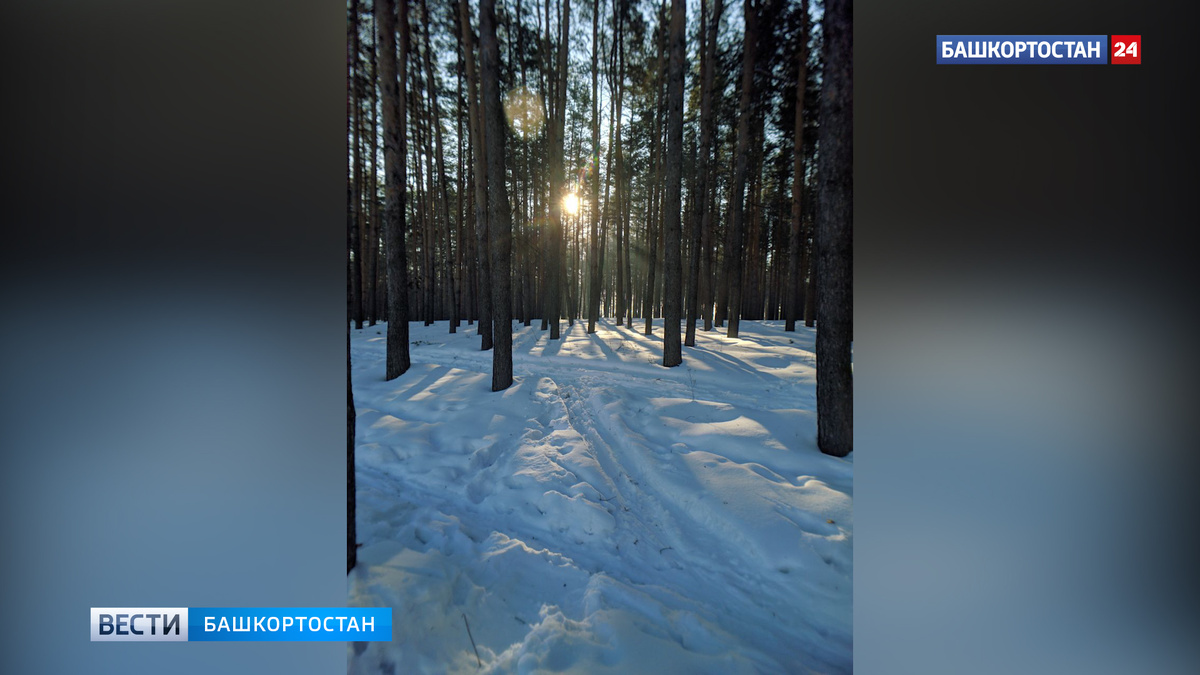    Ночью в Башкирии похолодает до –22 градусов