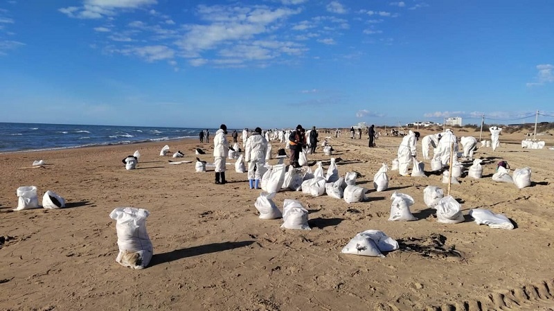    Фото: пресс-служба мэрии Анапы